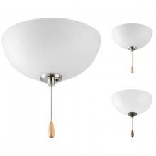 PROGRESS LIGHTING P2650-01WB - Bravo Collection Two-Light Ceiling Fan Light