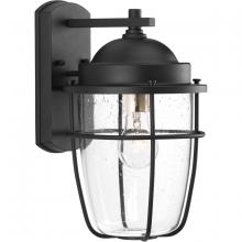 PROGRESS LIGHTING P560066-031 - Holcombe Medium Wall Lantern