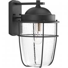 PROGRESS LIGHTING P560067-031 - Holcombe Large Wall Lantern