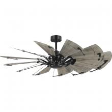 PROGRESS LIGHTING P250098-31M - Springer II Collection 60-in Twelve-Blade Matte Black Modern Farmhouse Windmill Ceiling Fan