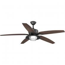 PROGRESS LIGHTING P2564-8030K - Montague Collection 60" Indoor/Outdoor Five-Blade Ceiling Fan