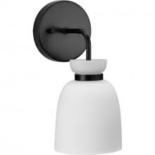 PROGRESS LIGHTING P300484-31M - Lexie Collection One-Light Matte Black Contemporary Vanity Light