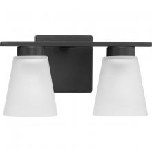 PROGRESS LIGHTING P300500-31M - Tanner Collection Two-Light Matte Black Transitional Vanity Light