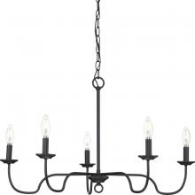 PROGRESS LIGHTING P400291-31M - Canebrake Collection Five-Light Matte Black Farmhouse Chandelier Light