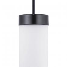 PROGRESS LIGHTING P500151-031 - Elevate Collection One-Light Mini-Pendant