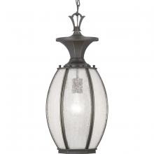 PROGRESS LIGHTING P550034-020 - P550034-020 1 100W MED HANGING LANTERN