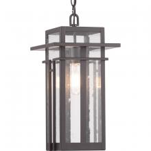 PROGRESS LIGHTING P550039-020 - Boxwood Collection One-Light Hanging Lantern