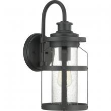 PROGRESS LIGHTING P560095-031 - Haslett Collection One-Light Medium Wall Lantern