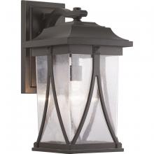 PROGRESS LIGHTING P560115-020 - Abbott Collection One-Light Large Wall Lantern