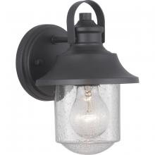 PROGRESS LIGHTING P560119-031 - Weldon Collection One-Light Small Wall Lantern