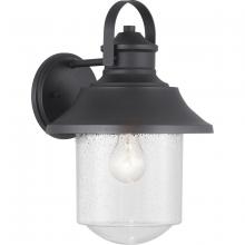 PROGRESS LIGHTING P560121-031 - Weldon Collection One-Light Large Wall Lantern