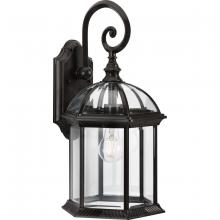 PROGRESS LIGHTING P560323-020 - Dillard Collection One-Light Traditional Antique Bronze Clear Glass Outdoor Wall Lantern