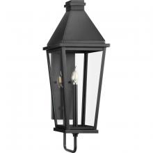 PROGRESS LIGHTING P560346-031 - Richmond Hill Collection One-Light Textured Black Clear Glass Modern Farmhouse Outdoor Large Wall La