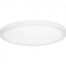 PROGRESS LIGHTING P810018-030-30 - Everlume Collection 18" Edgelit Surface Mount