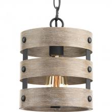 PROGRESS LIGHTING P500022-143 - Gulliver Collection One-Light Graphite Coastal Pendant Light
