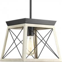 PROGRESS LIGHTING P500041-143 - Briarwood Collection One-Light Graphite Coastal Mini-Pendant Light