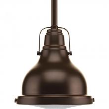 PROGRESS LIGHTING P5050-108 - Fresnel Lens Collection One-Light Oil Rubbed Bronze Clear Fresnel Glass Coastal Mini-Pendant Light