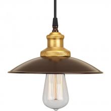 PROGRESS LIGHTING P5161-20 - Archives Collection One-Light Antique Bronze Brass Paint Inside Metal Shade Farmhouse Mini-Pendant L