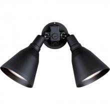 PROGRESS LIGHTING P5203-31 - Two-Light Adjustable Swivel Flood Light