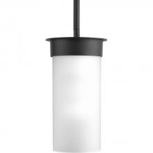 PROGRESS LIGHTING P5513-31 - Hawthorne Collection One-Light Small Hanging Lantern