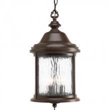 PROGRESS LIGHTING P5550-20 - Ashmore Collection Three-Light Hanging Lantern