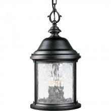 PROGRESS LIGHTING P5550-31 - Ashmore Collection Three-Light Hanging Lantern