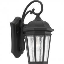 PROGRESS LIGHTING P560014-031 - Verdae Collection One-Light Small Wall-Lantern