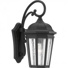 PROGRESS LIGHTING P560015-031 - Verdae Collection One-Light Medium Wall-Lantern