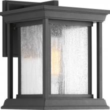 PROGRESS LIGHTING P5605-31 - Endicott Collection One-Light Small Wall Lantern