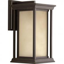 PROGRESS LIGHTING P5610-20 - Endicott Collection One-Light Medium Wall Lantern