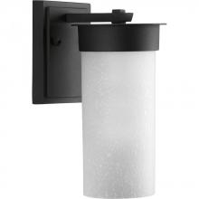 PROGRESS LIGHTING P5624-31 - Hawthorne Collection One-Light Small Wall Lantern