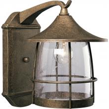 PROGRESS LIGHTING P5764-86 - Prairie Collection One-Light Large Wall Lantern