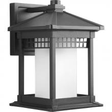 PROGRESS LIGHTING P6001-31 - Merit Collection One-Light Wall Lantern