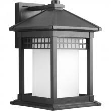 PROGRESS LIGHTING P6002-31 - Merit Collection One-Light Wall Lantern