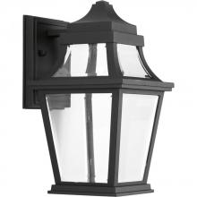 PROGRESS LIGHTING P6056-3130K9 - Endorse Collection One-Light Small Wall Lantern