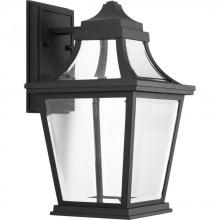 PROGRESS LIGHTING P6057-3130K9 - Endorse Collection One-Light Medium Wall Lantern