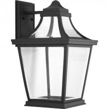 PROGRESS LIGHTING P6058-3130K9 - Endorse Collection One-Light Large Wall Lantern