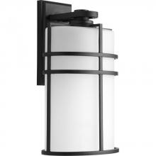 PROGRESS LIGHTING P6064-31 - Format Collection One-Light Large Wall Lantern