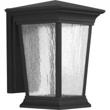 PROGRESS LIGHTING P6068-3130K9 - Arrive Collection One-Light Medium Wall Lantern