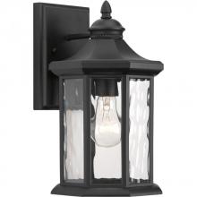 PROGRESS LIGHTING P6071-31 - Edition Collection One-Light Medium Wall Lantern