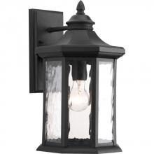 PROGRESS LIGHTING P6072-31 - Edition Collection One-Light Large Wall Lantern