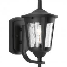 PROGRESS LIGHTING P6073-31 - East Haven Collection One-Light Small Wall Lantern