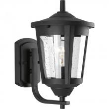 PROGRESS LIGHTING P6074-31 - East Haven Collection One-Light Medium Wall Lantern