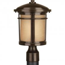 PROGRESS LIGHTING P6424-20 - Wish Collection One-Light Post Lantern