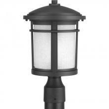 PROGRESS LIGHTING P6424-31 - Wish Collection One-Light Post Lantern