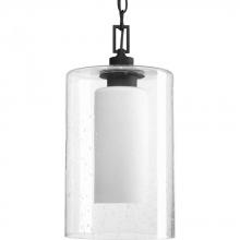 PROGRESS LIGHTING P6520-31 - Compel Collection One-Light Hanging Lantern