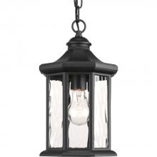 PROGRESS LIGHTING P6529-31 - Edition Collection One-Light Hanging Lantern