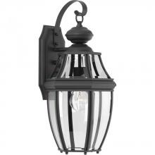 PROGRESS LIGHTING P6611-31 - New Haven Collection One-Light Medium Wall Lantern