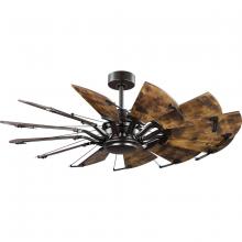 PROGRESS LIGHTING P250065-129 - Springer Collection 52-Inch 12-Blade Architectural Bronze DC Motor Farmhouse Windmill Ceiling Fan