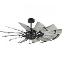 PROGRESS LIGHTING P250065-31M - Springer Collection 52-Inch Matte Black 12-Blade DC Motor Windmill Ceiling Fan